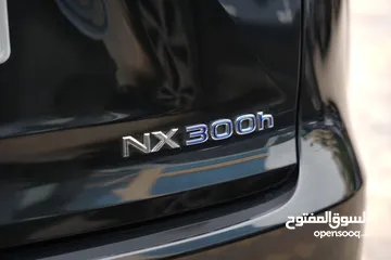  24 Lexus NX300H 2019