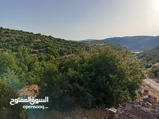  8 أرض متعددة الاستخدامات في أجمل مناطق عجلون