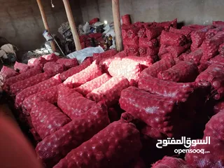  3 تصدير فواكه وخضروات ومواد غذائية ايرانيه بيع بالجمله حسب الطلب