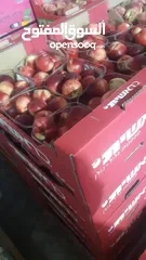  5 مشروع تجاري مربح بحاجة لتمويل