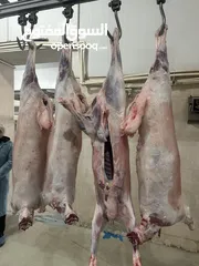  3 Chilled lamb carcass from Armenia