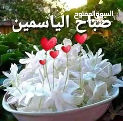  2 عزبة النخل بركه الحاج