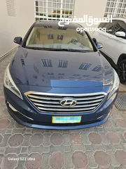  13 Sonata 2015