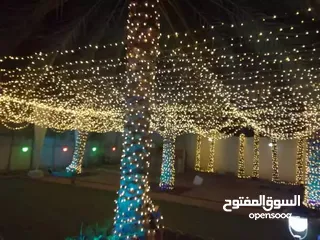  1 زخارف خفيفة/light decorations