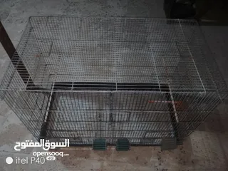  2 مطير للبيع