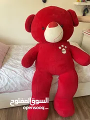  2 big red bear