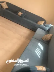  1 كنبات نضيفه استعمال بسيط بغلي