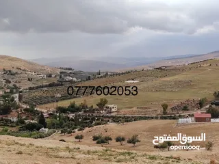  7 قطعة ارض مطلة ومرتفعه مساحة 4 دونم اتفي القنية مقابل مطاعم السمك ومنتجع تل الورد