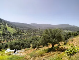  3 أرض مميزة جداً لعمل شاليه استثماري أو مزرعة خاصة أو مزرعة تجارية يوجد بها قناة ماء من المالك مباشرة