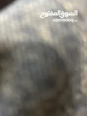  1 مستودع مخزن للايجار