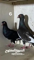  3 حمام نظيف شغال سعر مناسب لكل جوز_____