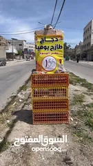  9 للبيع معدات دجاج