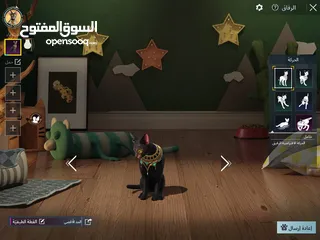  21 حساب ببجي عالمية مستوى 74