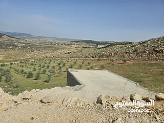  4 مزرعه للبيع. فرصه استثمارية رائعة! مزرعه قائمة وجاهزه للبيع بموقع استراتيجي في منطقة هادئة وطبيعه خل