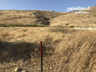  21 ارض للبيع في النصارية مطلة على جميع الجهات ما بسكر عليها حدا وصحية واصل مياه وكهرباء مع جدار جنوبي