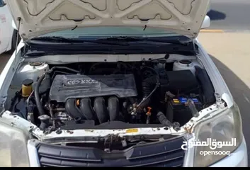  8 Toyota Corolla