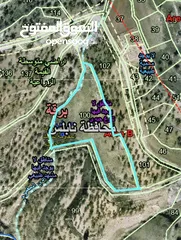  1 ارض في برقه نابلس مساحه 6 دونم