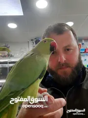  24 نشتري منك بأحسن الأسعار اقرأ الوصف صديقي