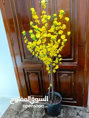  9 أشجار صناعي بجذع طبيعي شامل القوار