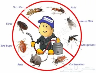  4 شركه رش مبيدات الحشرات مكافحة الحشرات نهائيا مع الضمان