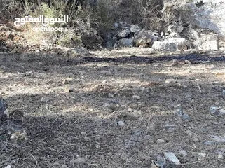  2 ارض للبيع تحت جسر اسكاكا حوض السهل