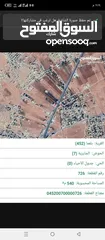  10 ارض للبيع بلعما المفرق