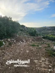  16 شركة عقارات اطلالة على البحر