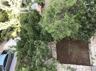  11 عمارة من 3 شقق مساحة 320 م وارض فارغة ياجوز منطقة الرشيد حي جعفر قرب اخر موقف للباصات