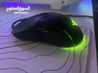  2 Mouse razor cobra synapse