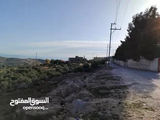  25 فرصه للشراء ارض مشجره جاهزه داخل التنظيم ومخدومه شارع معبد خدمات كامله ومطله