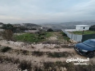  1 490 متر في بلعا داخل المخطط الهيكلي