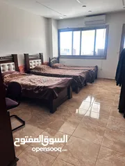  11 روفف فخر للبيعفي بتونيا