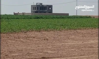  1 دنم و38 متر بشارع فلسطين