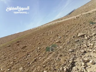  7 ارض للبيع طريق 100 بسعر مغري جداً