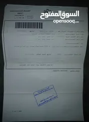  10 لقطة لقطة بسعر حرق حرق كيا نيرو كهربة 2024