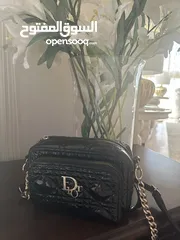  1 Fake Dior handbag