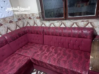  1 تخم قنفات مناسب