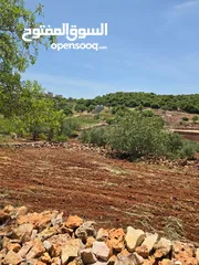  17 مزرعه 2 دونم مزروعه موقع مميز جدا  من مالك مباشر