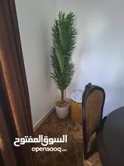  9 شقة مفروشة لايجار ضاحية الرشيد الإيجار حسب المدة