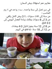  8 يتوفر بيض السمان ولحم طائر السمان طازج وجديد سعر 2500 للطبقه سعر جمله يختلف
