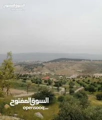  1 ارض للبيع جامعة فيلادلفيا