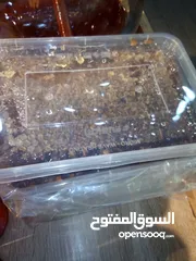  18 عسل يمني و بلدي افضل انواع العسل اليمني و البلدي و اجود انواع الخلطات و الاسعار اهلا وسهلا بكم