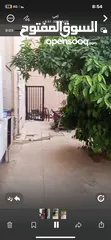  2 شقه للبيع في ابو نصير