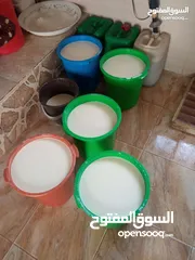  7 مطلوب شريك ممول لمعمل اجبان  يعمل بشكل جيد