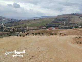  2 قطعة ارض مطلة ومرتفعه مساحة 4 دونم اتفي القنية مقابل مطاعم السمك ومنتجع تل الورد