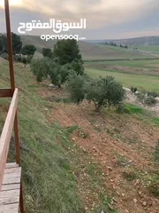  1 ارض للبيع10دنومات