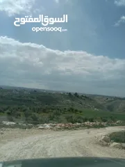  8 ارض سكنيه قرب مثلث حور فوعرا للبيع بسعر مغري
