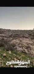  4 ارض للبيع بمدينه الخليل دورا