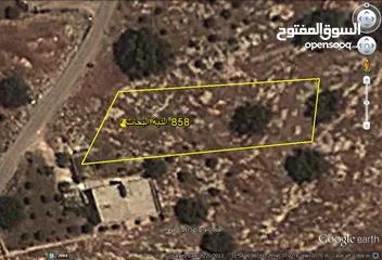  4 ارض للبيع في ابو السوس المساحه 1251 م