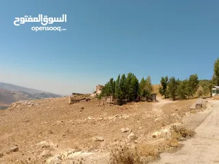  1 للبيع 4دونم السلط حوض الفزره قرب السرو مستويه مطله جميله بسعر مغري جدا جدا